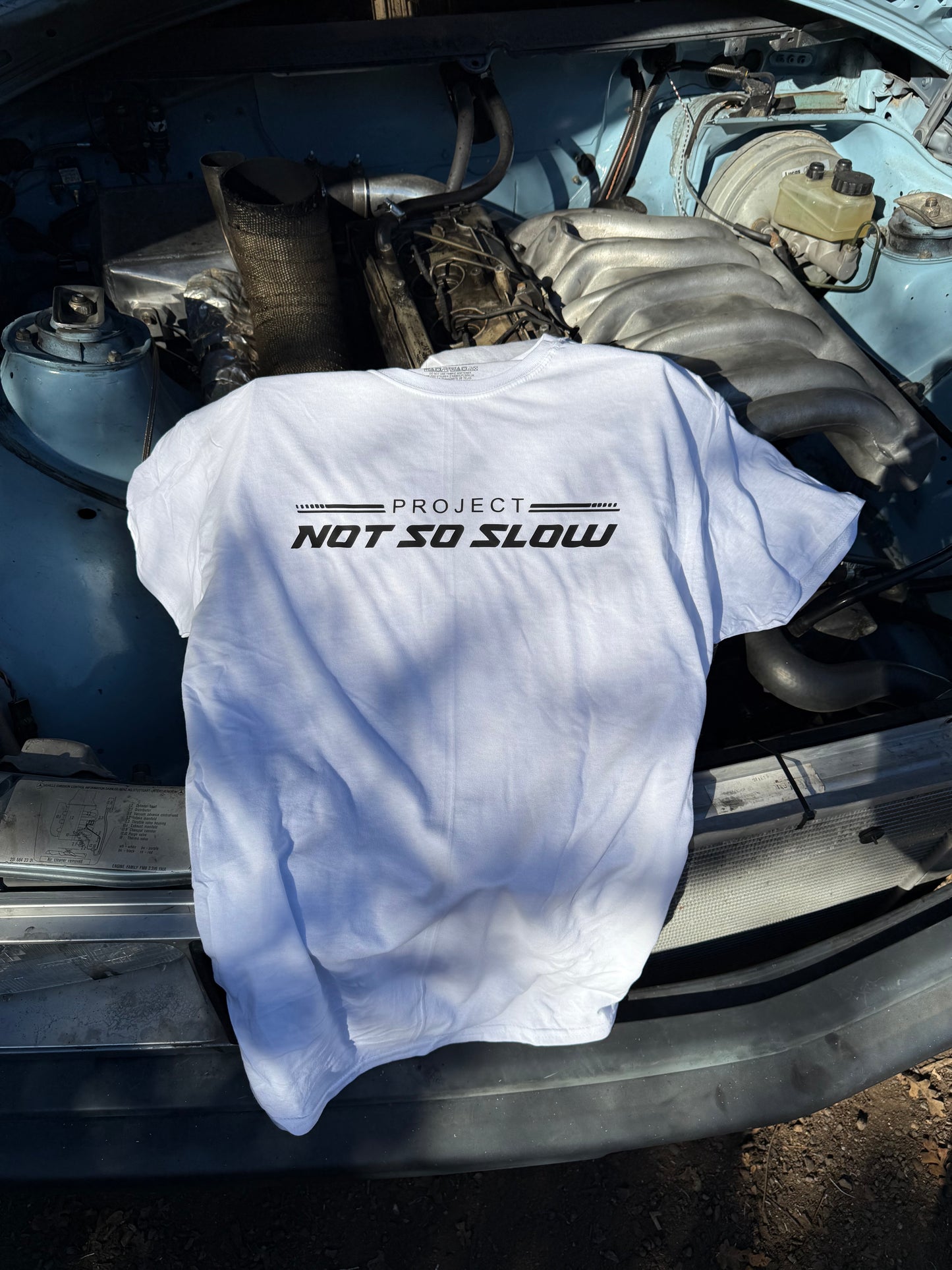 Project Not So Slow Work T,s